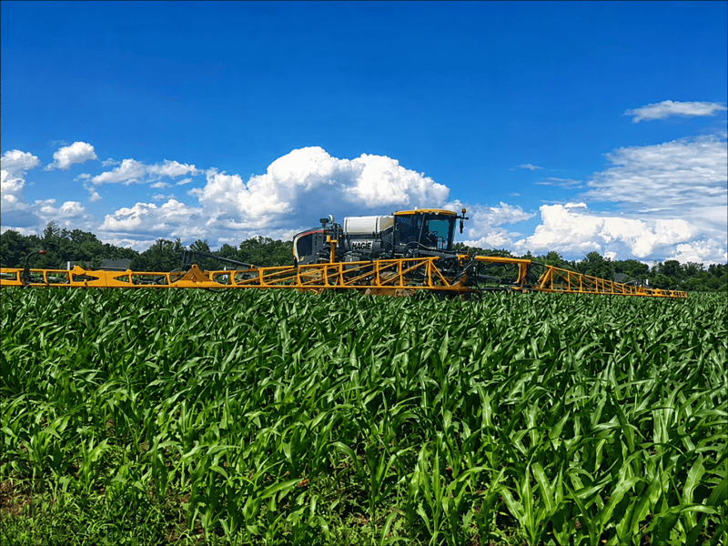 Alt text: A large yellow-and-black agricultural sprayer moves across a lush green cornfield beneath a vivid blue sky filled with bright white summer clouds.