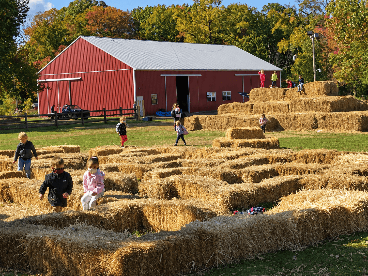 Fall harvest scene at Snipes Farm in Morrisville