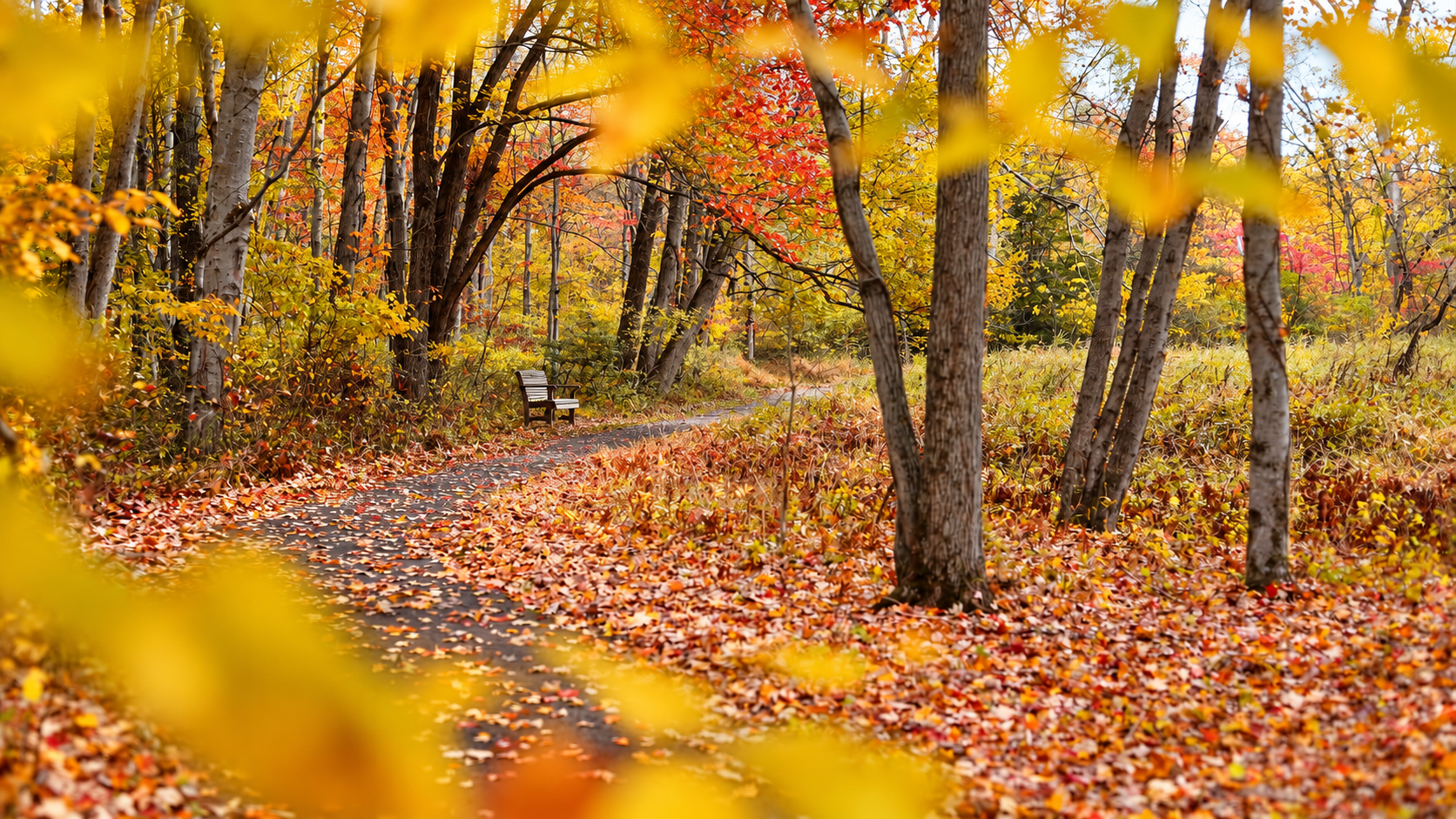 A Bucks County autumn scene