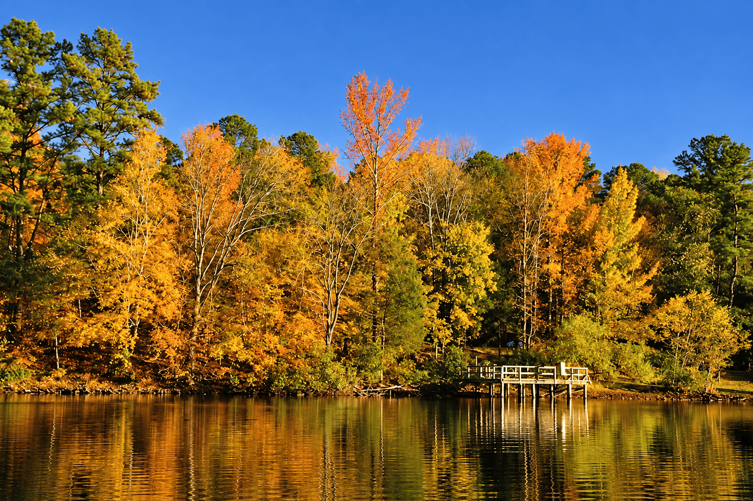 Tyler State Park, Bucks County